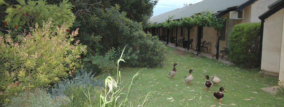 birdlife at the door