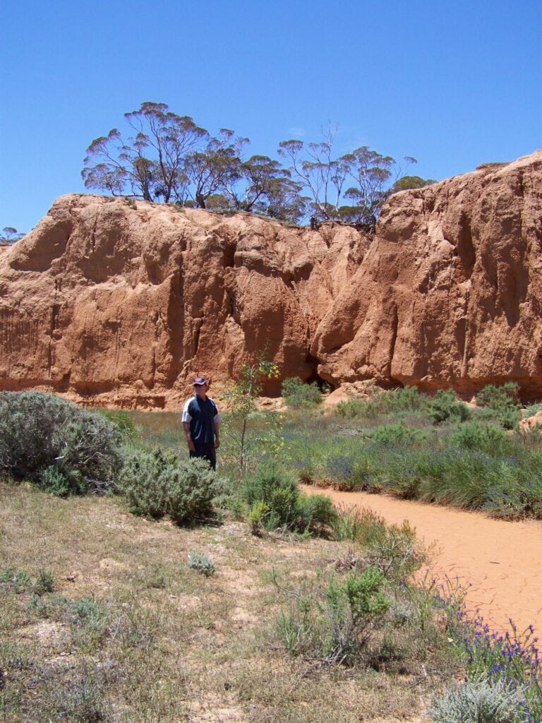 Red Banks of Conservation Park