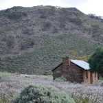 Tourilie Gorge Hut in Caroona Creek Conservation Park