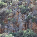 Spring Weather is a great time to visit the Tourilie Gorge
