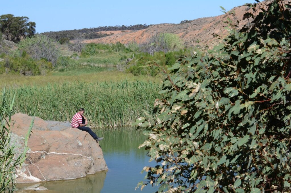 Redbanks Conservation Park Permanent Water Hole