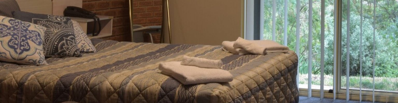 Single Room at Burra Motor Inn featuring a queen bed and view over Burra Creek